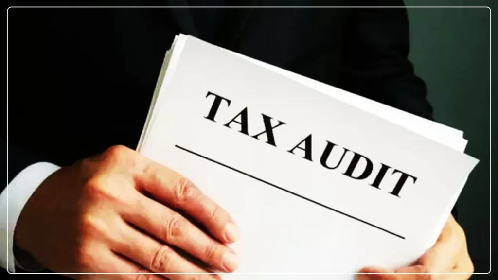 A Guide for Businesses to Navigate the Tax Audit