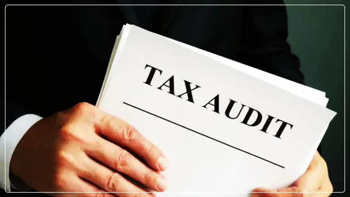 Navigate the Tax Audit